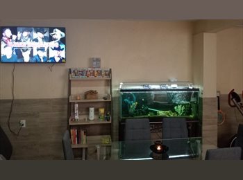 Roomgo MX - Casa planta baja, Guadalajara - MX$3,500 por mes