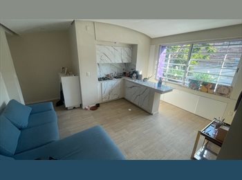 Roomgo MX - Renta de cuarto en departamento con 2 gatitos hogareños, México - D.F. - MX$5,000 por mes