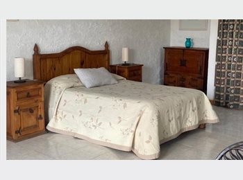 Roomgo MX - Suite con entrada independiente en Lomas de Cuernavaca, Temixco - MX$3,400 por mes