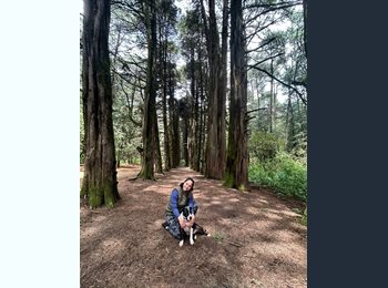 Roomgo MX - Fernanda  - 37 - México - D.F.