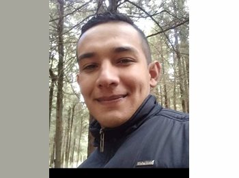 Roomgo MX - Jairat  - 35 - Jiutepec