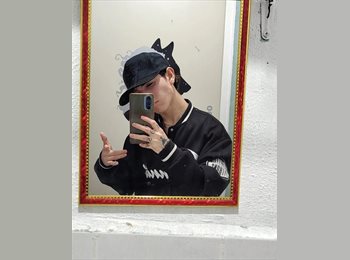 Roomgo MX - Alexander - 18 - Mérida