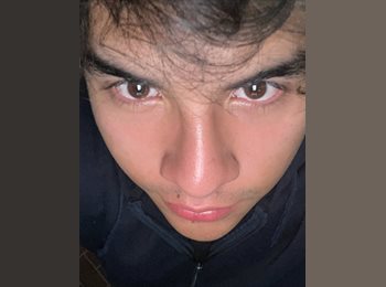 Roomgo MX - Antonio - 18 - Querétaro