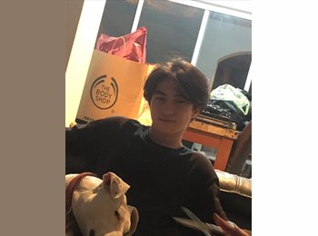 Roomgo MX - Steven Gustavo Medrano Suárez  - 22 - México - D.F.