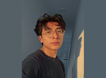 Roomgo MX - Jose luis espino - 21 - Cuernavaca