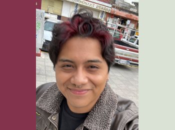 Roomgo MX - Angel Juarez - 21 - Toluca