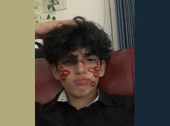 Roomgo MX - Alan Arturo Gutiérrez Cortés  - 19 - Chimalhuacán