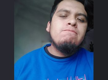 Roomgo MX - Alan - 26 - México - D.F.