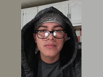 Roomgo MX - Josue - 20 - Querétaro