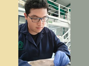 Roomgo MX - Octavio Domínguez Ramírez  - 22 - Querétaro