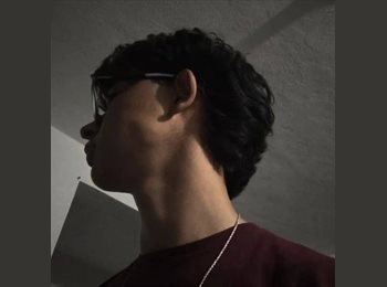 Roomgo MX - Cris - 18 - Morelia