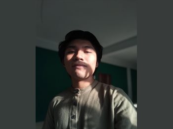 Roomgo MX - Andrés Cupul - 19 - Mérida