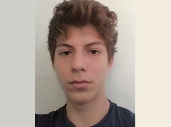 Roomgo MX - fernando Igor - 18 - Monterrey