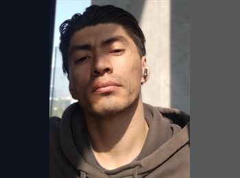 Roomgo MX - Sebastián - 33 - Querétaro