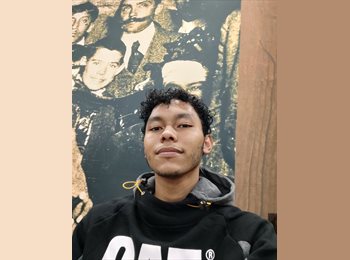 Roomgo MX - Howard  - 22 - Mérida