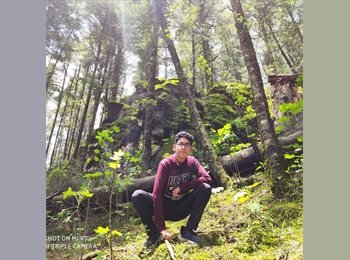 Roomgo MX - Alejandro - 20 - Mérida