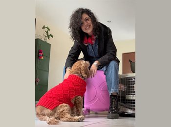 Roomgo MX - Arely A  - 33 - Miguel Hidalgo