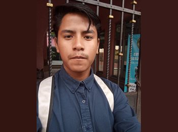 Roomgo MX - Alejandro  - 18 - Cuernavaca