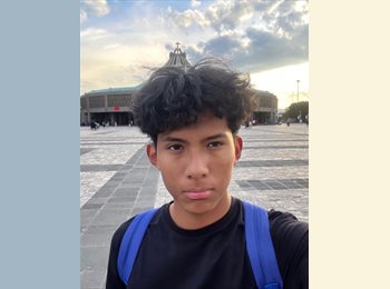 Roomgo MX - Alejandro Apolo - 18 - Benito Juárez