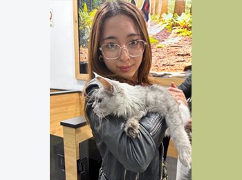 Roomgo MX - Zoe - 18 - Cancún