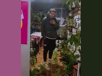 Roomgo MX - Alexander martin  - 23 - México - D.F.