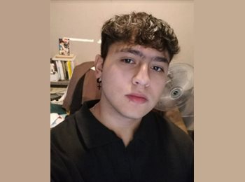 Roomgo MX - ian josue barron estrella - 19 - Monterrey