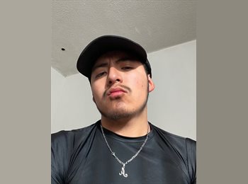 Roomgo MX - Iván - 20 - México - D.F.