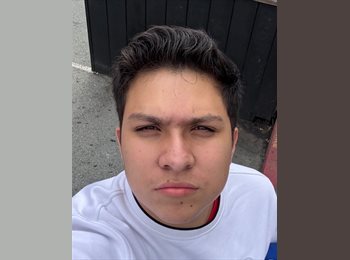 Roomgo MX - Oscar Emilio González Martínez  - 18 - Mérida