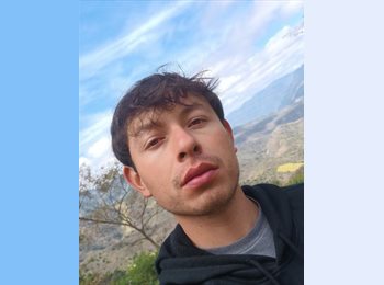 Roomgo MX - Diego - 24 - Querétaro