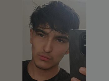 Roomgo MX - César vega - 18 - Querétaro