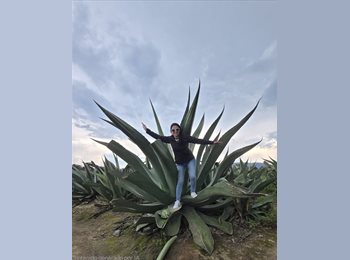 Roomgo MX - Paulina - 42 - Cuajimalpa de Morelos