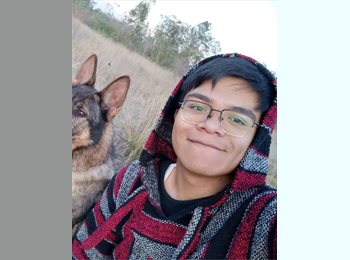 Roomgo MX - Alexis  - 24 - Puebla