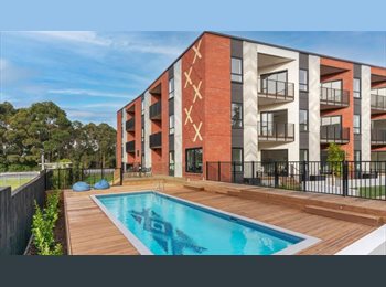 Roomgo NZ - Big Brand-New Room Available for Boarding, Auckland - $275 pw