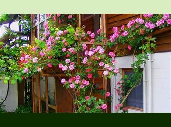 Roomgo NZ - Rooms available in large retro-70s house, Auckland - $240 pw