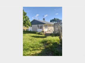 Roomgo NZ - Chartwell home, Hamilton - $240 pw