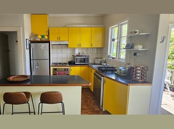 Roomgo NZ - Mt Eden room available now – queer-friendly, pets negotiable, Auckland - $325 pw