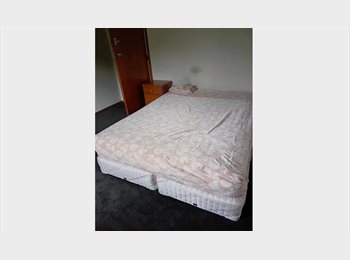 Roomgo NZ - Boarders wanted, Nelson - $250 pw