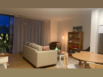 Roomgo NZ - 2 Rooms for rent near Christchurch city centre, Christchurch - $240 pw