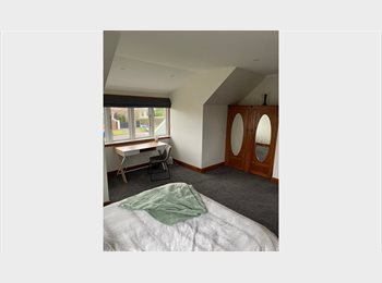 Roomgo NZ - Home stay available for short term student placements or other short term accomodation, Palmerston North - $200 pw