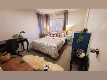 Roomgo NZ - Flatmate Wanted West Auckland, Auckland - $200 pw