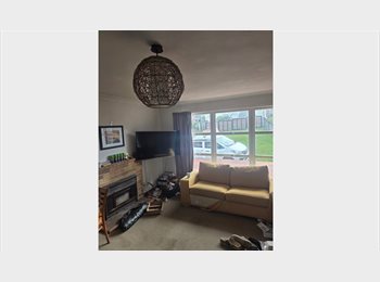 Roomgo NZ - Room to rent in existing flat, Auckland - $230 pw