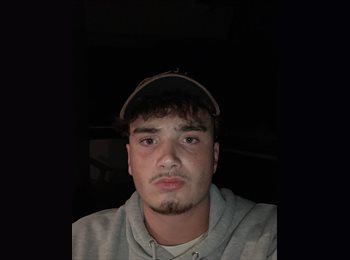 Roomgo NZ - Gouezigoux - 20 - Wellington