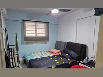 Roomgo SG - Looking for male tenant (room share), Ang Mo Kio - $600 pm