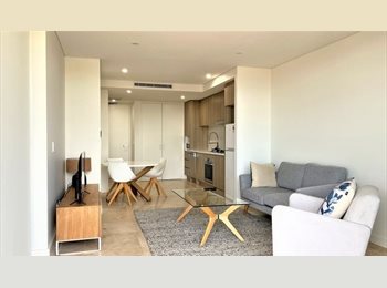 Roomgo SG - Fully Furnished Studio Room for Rent, Novena - $1,000 pm