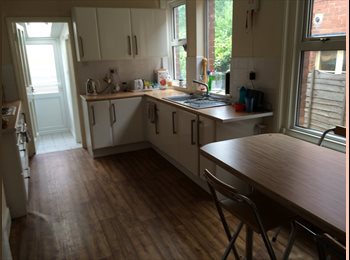 Roomgo UK - 4 bed 2 bathroom house, Exeter - £650 pcm
