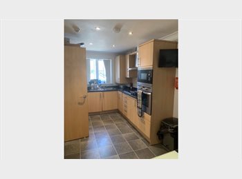 Roomgo UK - Double room with en-suite EX1 2TT, Exeter - £720 pcm
