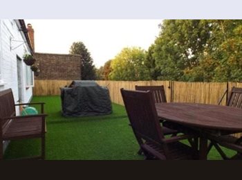 Roomgo UK - Double room in a flat with a huge roof terrace, Wanstead - £710 pcm