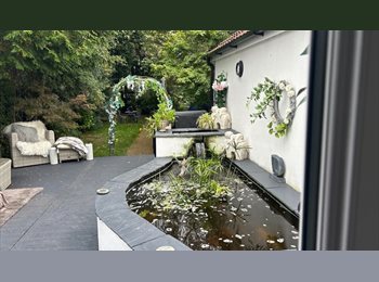 Roomgo UK - Beautiful house in the heart of hessle, Widnes - £595 pcm