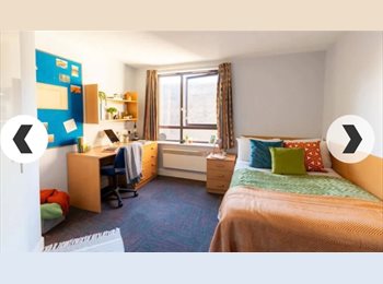 Roomgo UK - Sanctuary students Coopers court double room, Mile End - £1,200 pcm