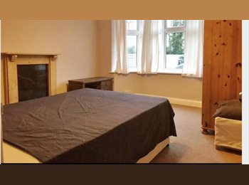 Roomgo UK - Large double en suite room, Reading - £700 pcm